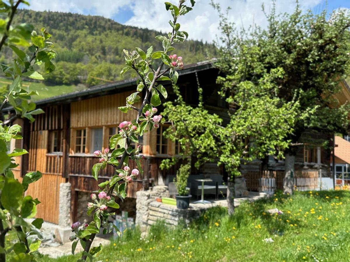 Chalet Bruenig Meiringen Exterior foto