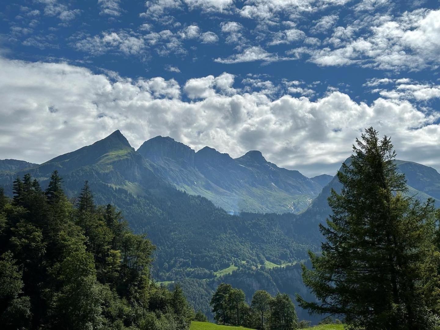 Chalet Bruenig Meiringen Exterior foto