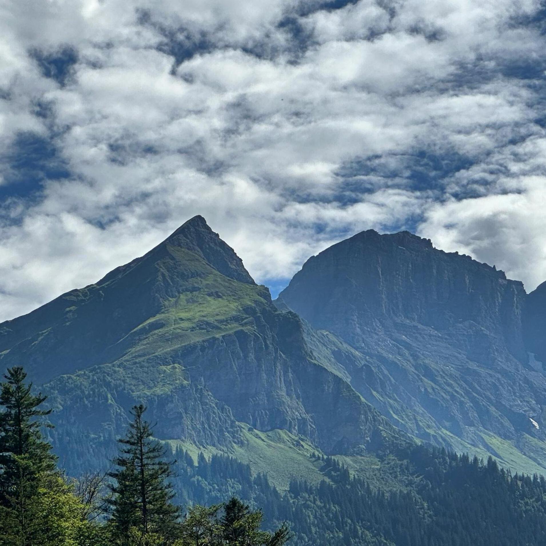 Chalet Bruenig Meiringen Exterior foto